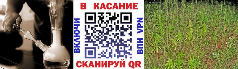 Виды наркотиков купить Великий Новгород Кокаин  КЕТАМИН  Марихуана 