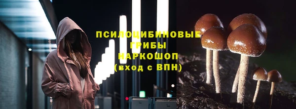 тгк Новокубанск