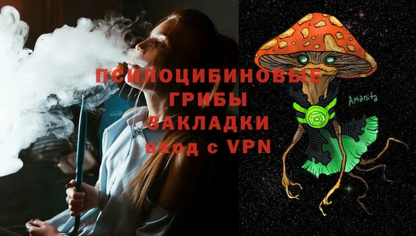 ECSTASY Абаза