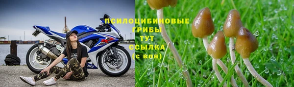 ECSTASY Абаза