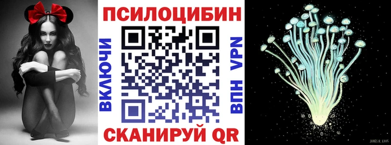 Псилоцибиновые грибы Psilocybine cubensis  Великий Новгород 